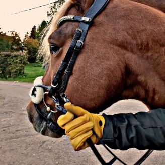 Kootamo Leather Gloves, Work, Bushcraft